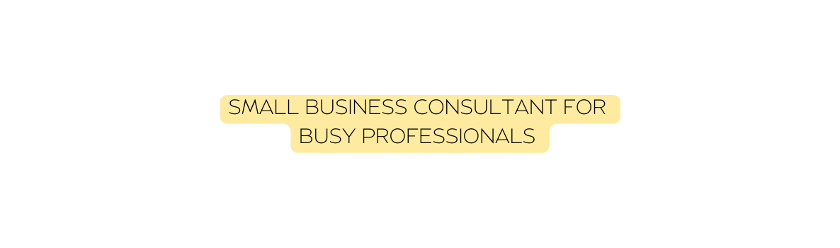 small business consultant for busy professionals